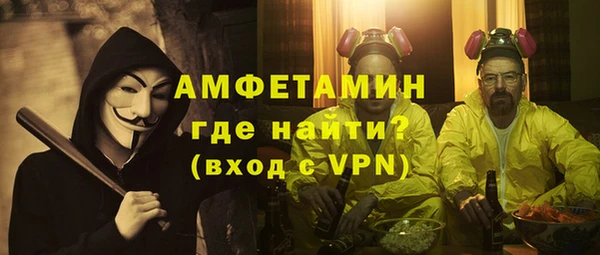 индика Сосновый Бор