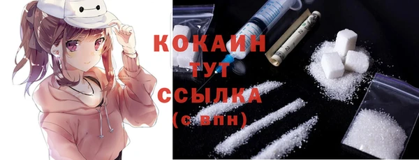 индика Сосновый Бор