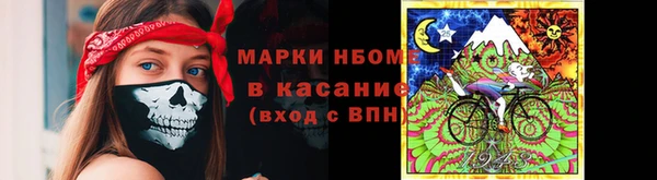 индика Сосновый Бор