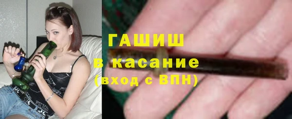 индика Сосновый Бор