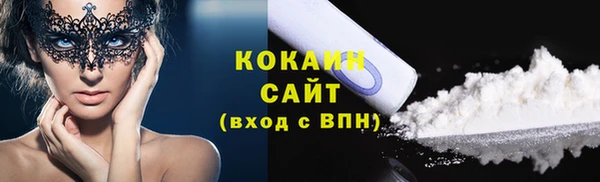 индика Сосновый Бор