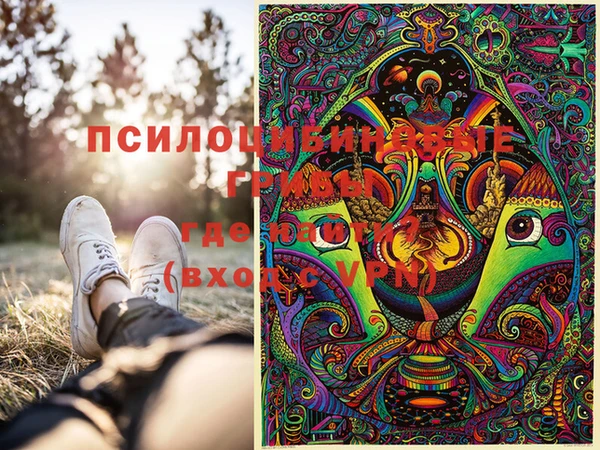 эйфоретик Сосновоборск