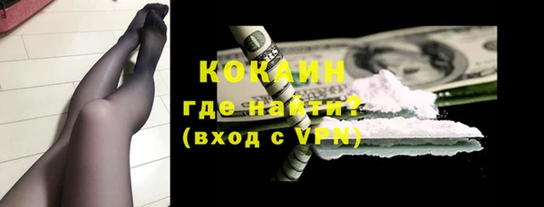 индика Сосновый Бор