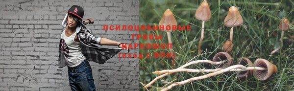 бошки Сосновка