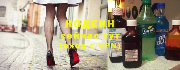 индика Сосновый Бор