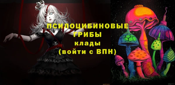 индика Сосновый Бор