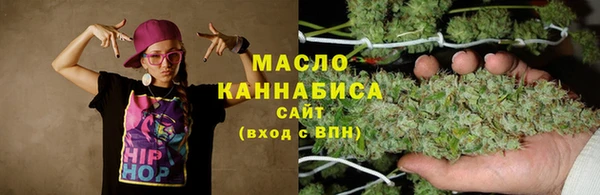 индика Сосновый Бор