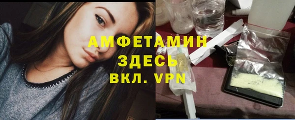индика Сосновый Бор