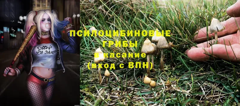 Псилоцибиновые грибы MAGIC MUSHROOMS  где продают   Тетюши 